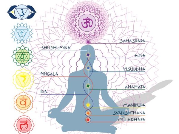 Chakras&Nadis